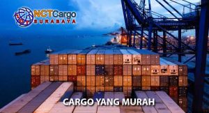 cargo yang murah